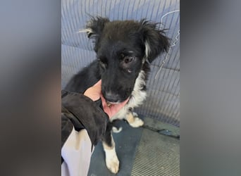 Carla - so zerbrechlich