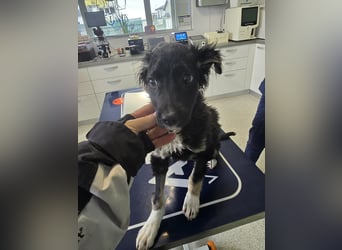 Carla - friert in der Kälte