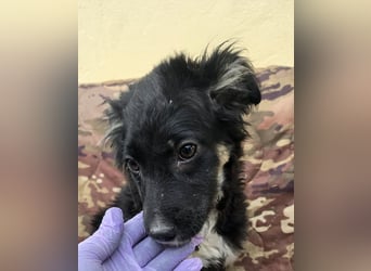 Carla - friert in der Kälte