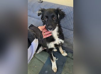 Carla - so zerbrechlich