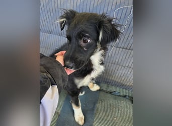 Carla - so zerbrechlich