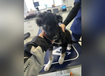 Carla - friert in der Kälte