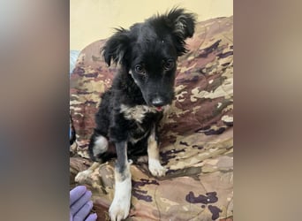 Carla - friert in der Kälte