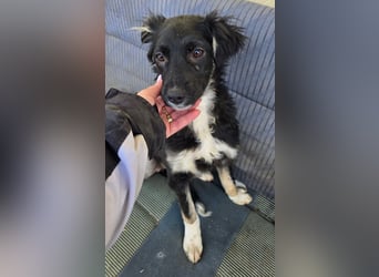 Carla - so zerbrechlich