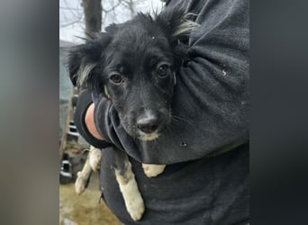 Carla - friert in der Kälte