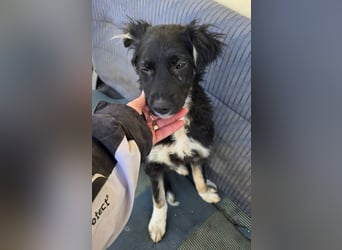 Carla - so zerbrechlich