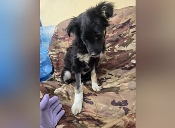 Carla - friert in der Kälte