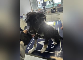 Carla - friert in der Kälte