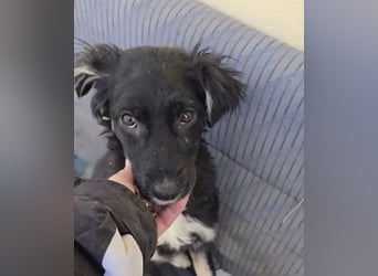 Carla - so zerbrechlich