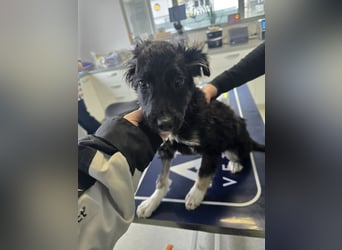 Carla - friert in der Kälte