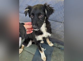 Carla - so zerbrechlich