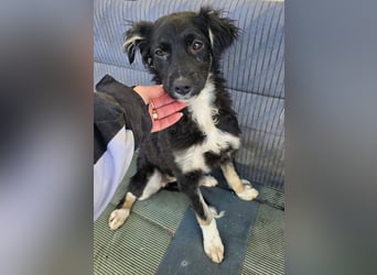 Carla - so zerbrechlich