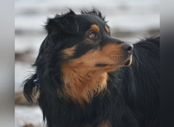 BUBU, ca. 2023 geboren, ausgeglichen und freundlich