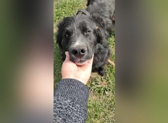 Anton - entzückender Schatz