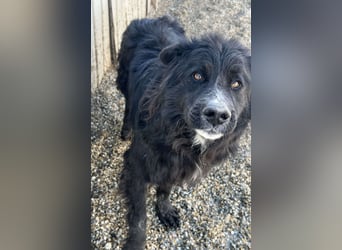 Anton - süßer Schatz