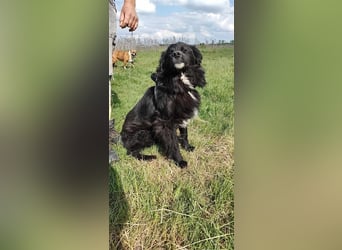 Anton - entzückender Schatz