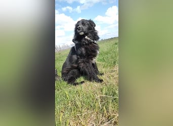 Anton - entzückender Schatz