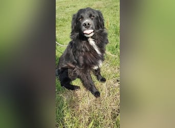 Anton - entzückender Schatz