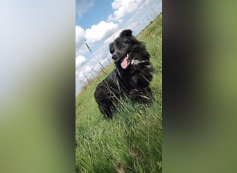 Anton - entzückender Schatz