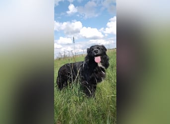 Anton - entzückender Schatz