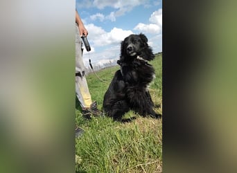 Anton - entzückender Schatz