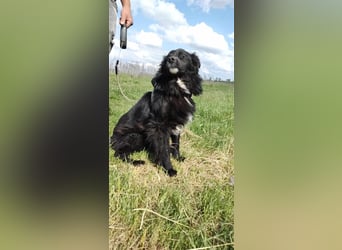 Anton - entzückender Schatz