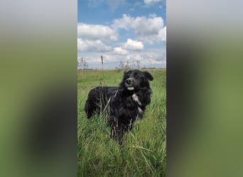 Anton - entzückender Schatz