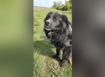 Anton - entzückender Schatz