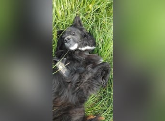 Anton - entzückender Schatz