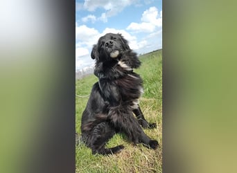 Anton - entzückender Schatz