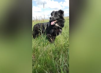 Anton - entzückender Schatz