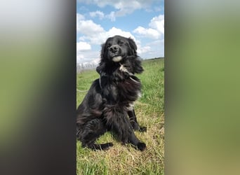 Anton - entzückender Schatz