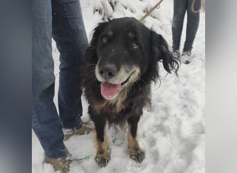 Doro ein freundlicher Schatz