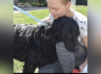 Johnny ein absoluter Schatz