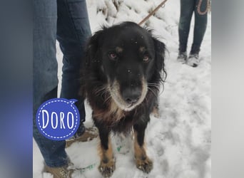 Doro ein freundlicher Schatz