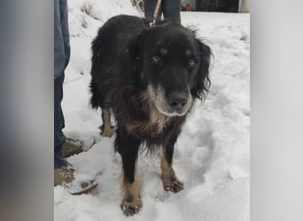 Doro ein freundlicher Schatz