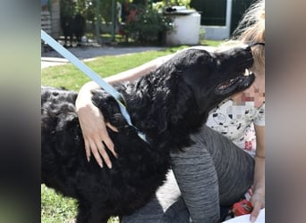 Johnny ein absoluter Schatz