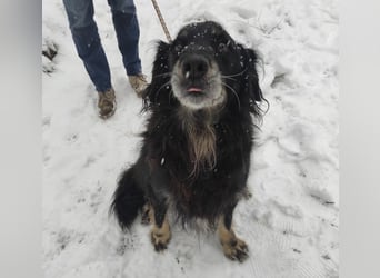 Doro ein freundlicher Schatz