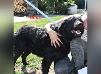 Johnny ein absoluter Schatz