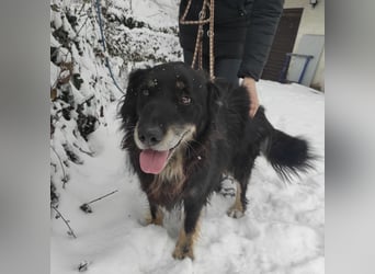 Doro ein freundlicher Schatz