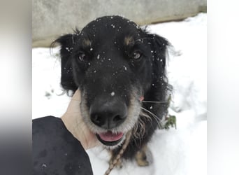 Doro ein freundlicher Schatz