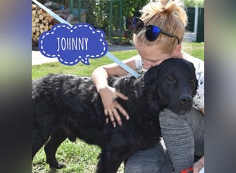 Johnny ein absoluter Schatz