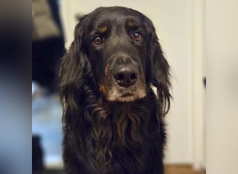 Arko - ländliches Zuhause,Garten wäre gut