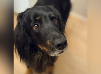 Arko - ländliches Zuhause,Garten wäre gut