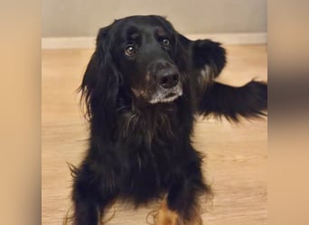 Arko - ländliches Zuhause,Garten wäre gut