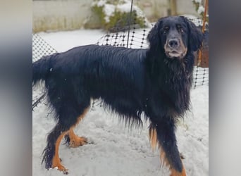 Arko - ländliches Zuhause,Garten wäre gut