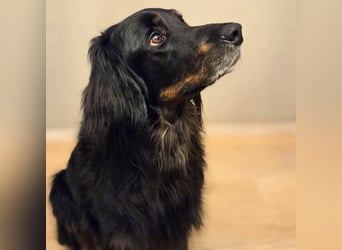 Arko - ländliches Zuhause,Garten wäre gut