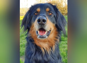 Marlow, su. erfahrenes Zuhause