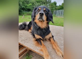 Marlow, su. erfahrenes Zuhause