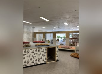 Hundstage Steigerwald